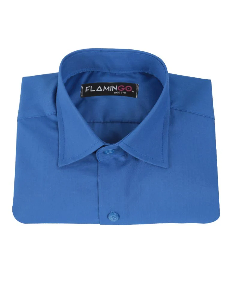 Boys Cotton Blend Formal Shirt - Blue - Image 5