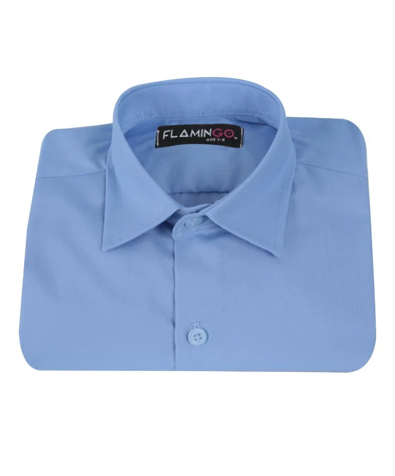 Boys Cotton Blend Formal Shirt - Sky Blue - Image 3